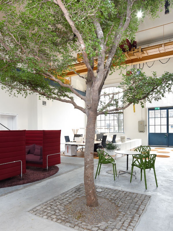 办公沙发|布面沙发|办公家具|开云中国家具|alcove 高背沙发